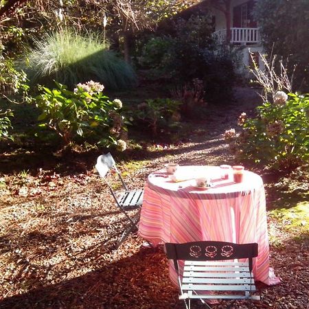Un Jardin A Biarritz Hotel Buitenkant foto