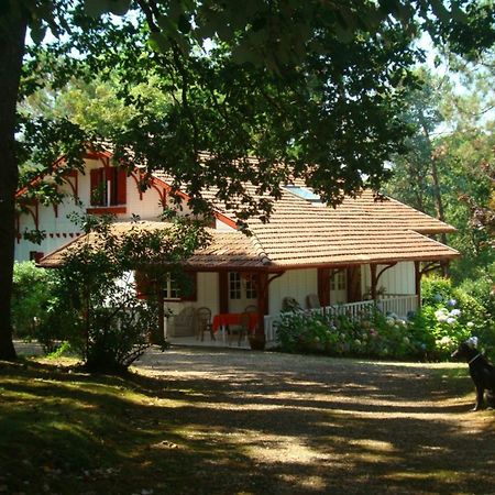Un Jardin A Biarritz Hotel Buitenkant foto