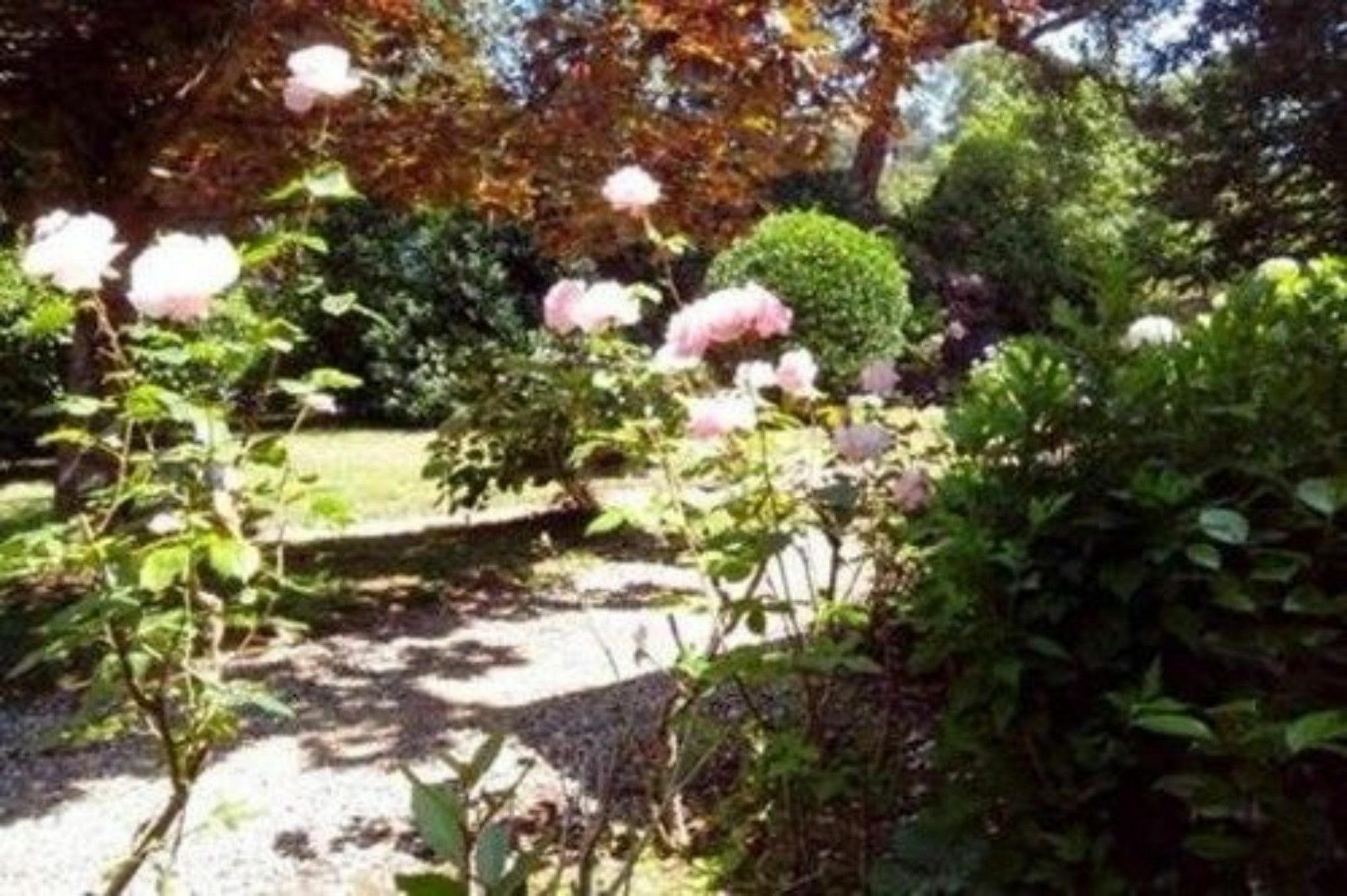 Un Jardin A Biarritz Hotel Buitenkant foto